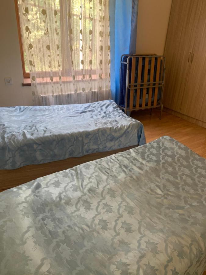 Ferienwohnung Artyomi Toon Dilidschan Exterior foto